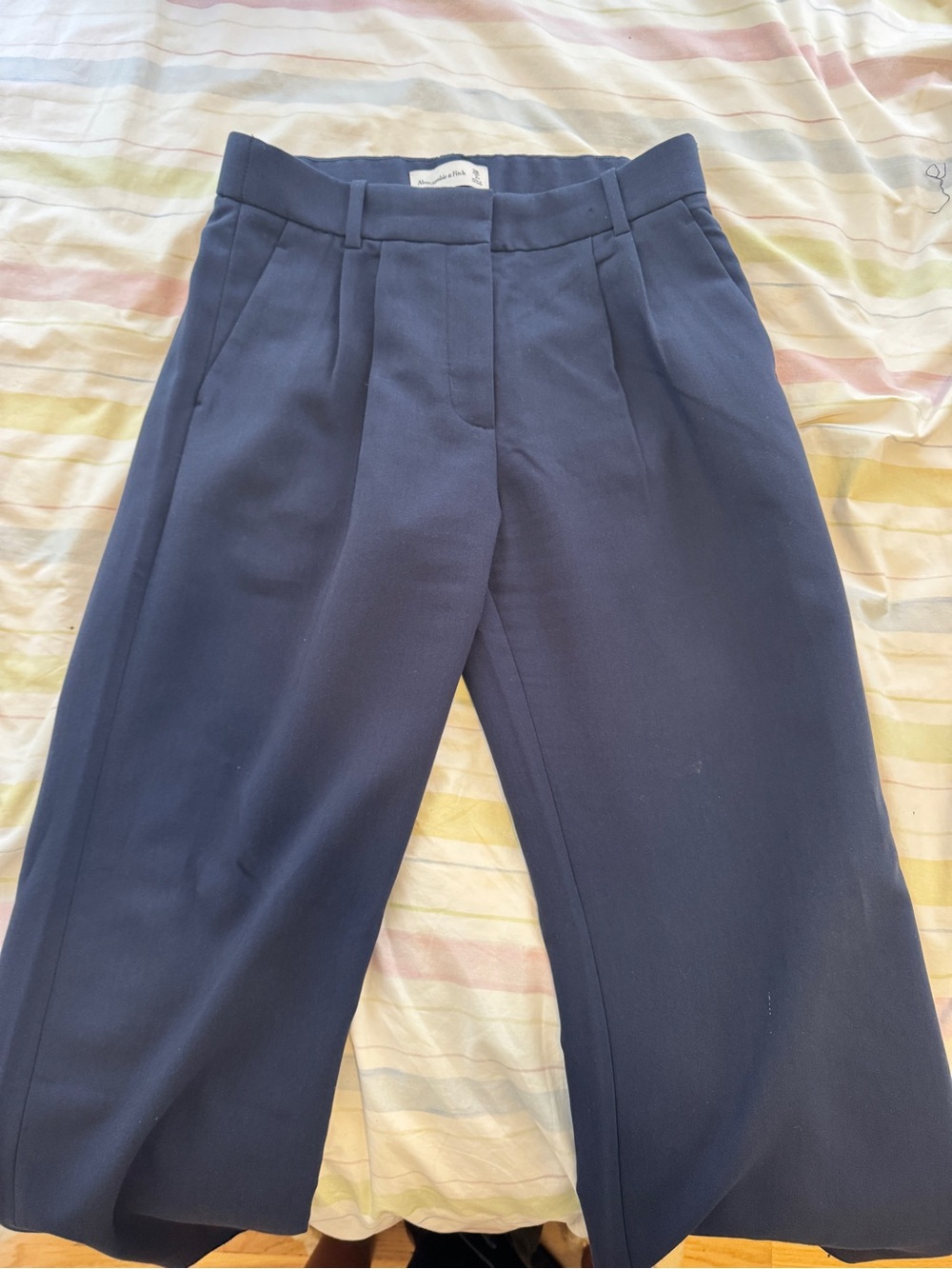 Abercrombie & Fitch Navy Pleated Dress Trousers